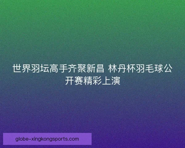 世界羽坛高手齐聚新昌 林丹杯羽毛球公开赛精彩上演